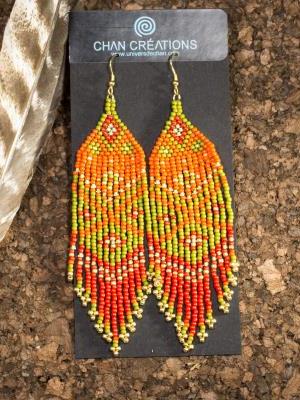 SAVEURS DE L'INDE $65