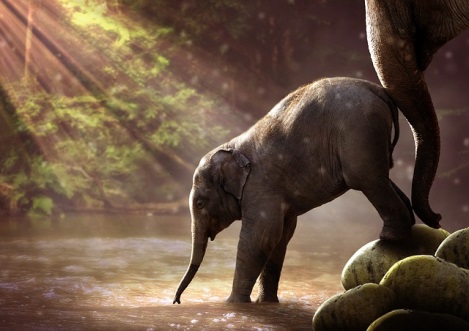 inspiration-877