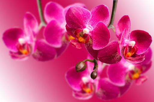 inspiration-874